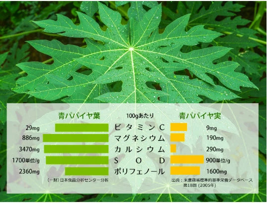 有機青パパイヤ茶　有機栽培　自然界のメディカルフード 腸活 酵素